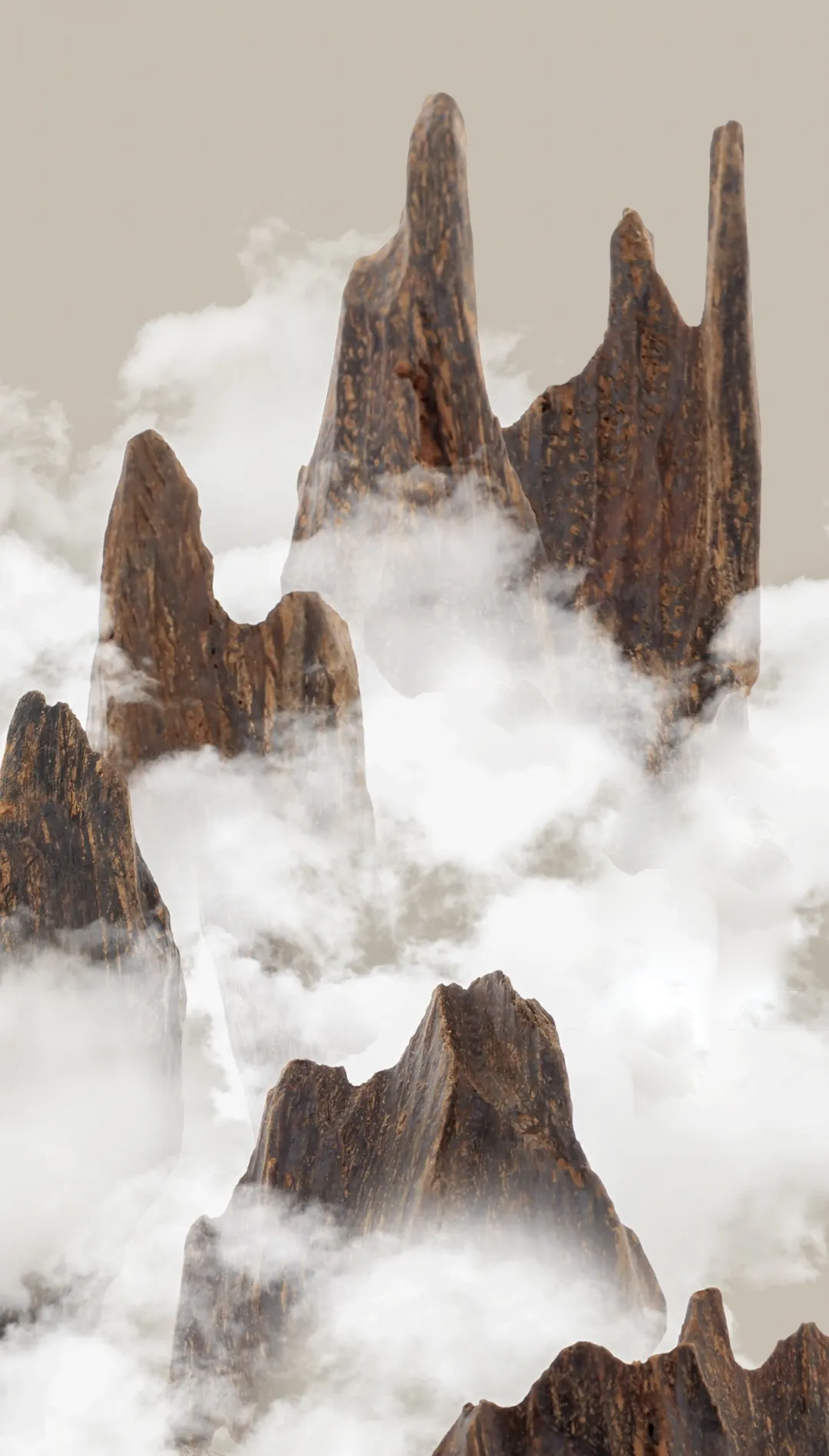 The Silent Guardian: How Petrified Wood (And Yes, That "Bandic" Jewelry) Fortifies Your Personal Energy Shield