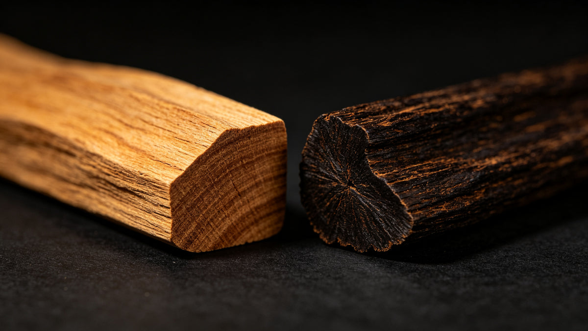 Sandalwood vs Agarwood: What's the Difference?