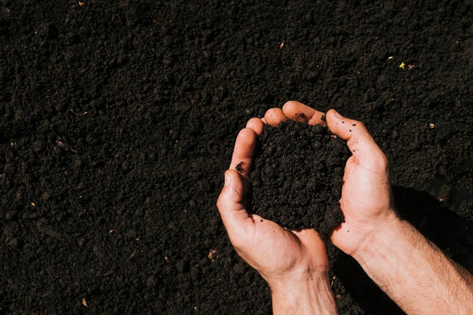 When Your "Earth" Element is Too Weak: How to "Nourish Your Soil" with Jambhala Jewelry to Enhance Security