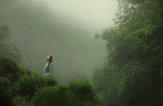The Architecture of Solitude: Creating Space in a Crowded Mind
