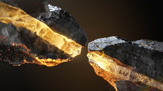 The Top 10 Most Protective Allies Known to Man