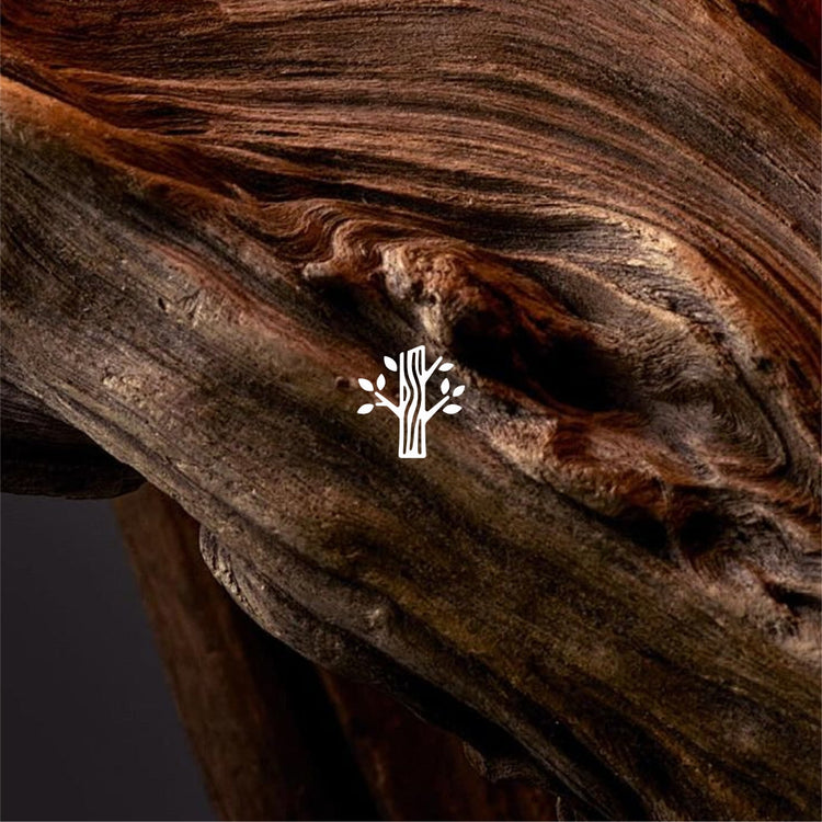 Wood—Luck & Fortune