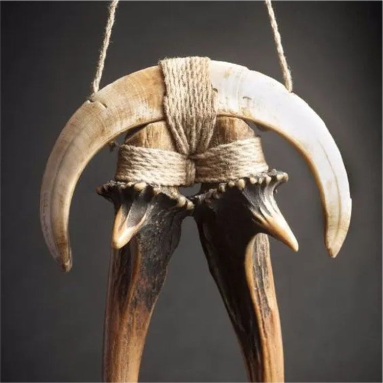 Bone